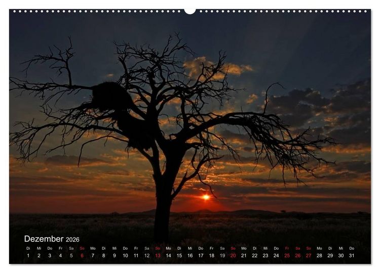 Produktbild: Afrikanische B&auml;ume (hochwertiger Premium Wandkalender 2026 DIN A2 quer), Kunstdruck in Hochglanz