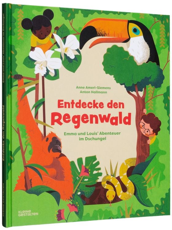 Produktbild: Entdecke den Regenwald
