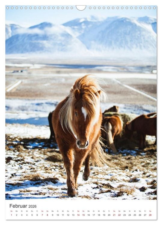 Produktbild: Ein Roadtrip durch Island (Wandkalender 2026 DIN A3 hoch), CALVENDO Monatskalender