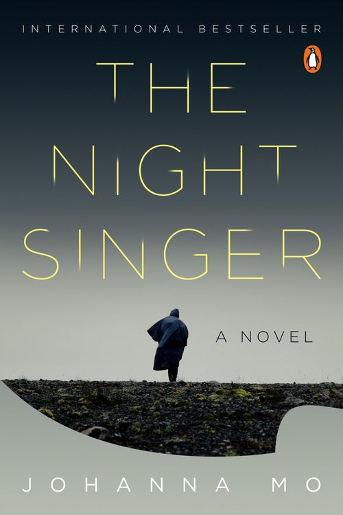Produktbild: The Night Singer