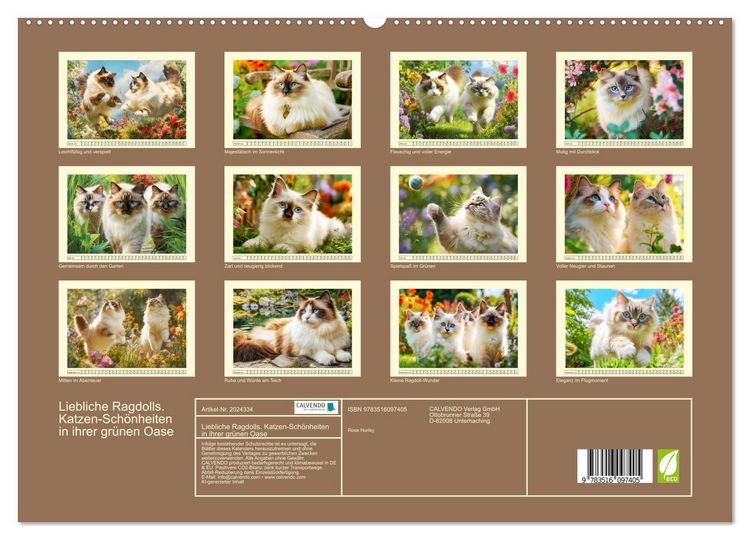 Produktbild: Liebliche Ragdolls. Katzen-Sch&ouml;nheiten in ihrer gr&uuml;nen Oase (hochwertiger Premium Wandkalender 2026 DIN A2 quer), Kunstdruck in Hochglanz