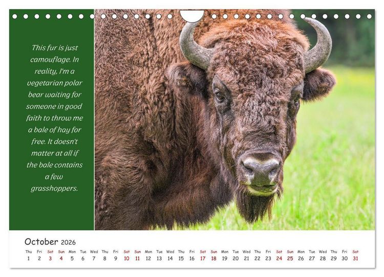 Produktbild: Animals like humour (Wall Calendar 2026 DIN A4 landscape), CALVENDO 12 Month Wall Calendar
