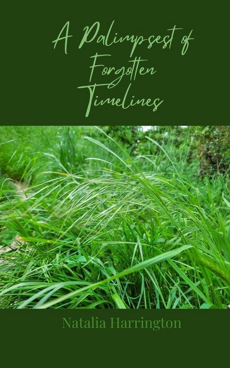 Produktbild: A Palimpsest of Forgotten Timelines
