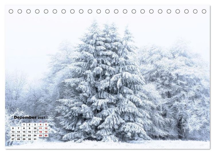 Produktbild: Waldspazierg&auml;nge: Entspannen - Kraft tanken - Besinnen auf sich selbst (Tischkalender 2027 DIN A5 quer), CALVENDO Monatskalender