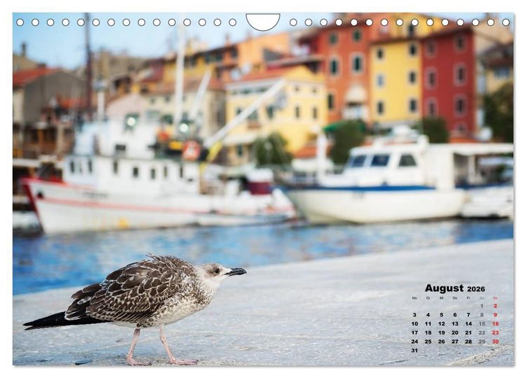 Produktbild: Wie ein Vogel in Rovinj! (Wandkalender 2026 DIN A4 quer), CALVENDO Monatskalender