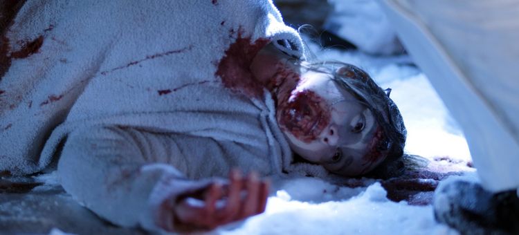 Produktbild: Blood and Snow