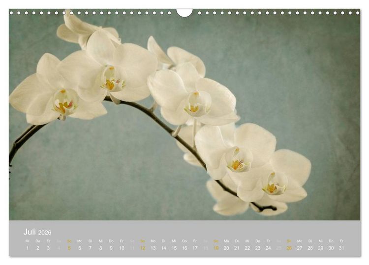 Produktbild: Orchideen Tr&auml;ume (Wandkalender 2026 DIN A3 quer), CALVENDO Monatskalender