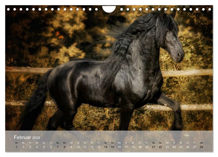 Produktbild: Pferde - Anmut und St&auml;rke gepaart mit Magie (Wandkalender 2026 DIN A4 quer), CALVENDO Monatskalender