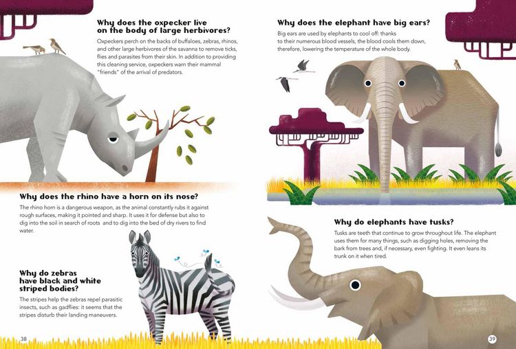 Produktbild: 200 Q&as about Animals