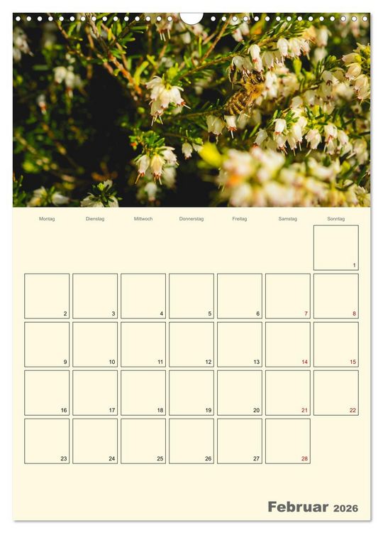 Produktbild: Bienen im Naturgarten (Wandkalender 2026 DIN A3 hoch), CALVENDO Monatskalender