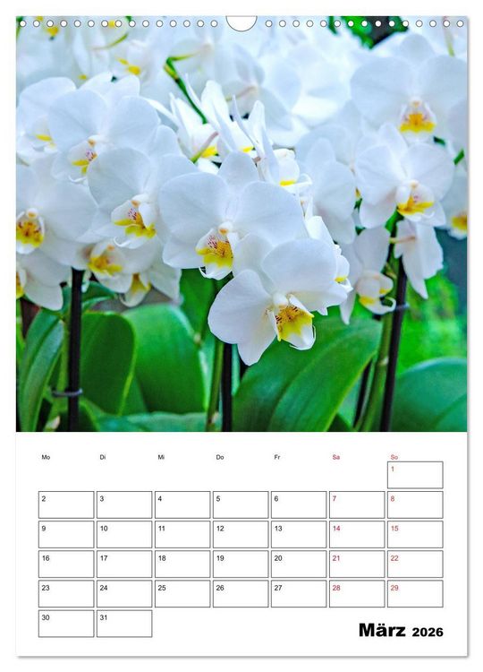 Produktbild: Orchideen - Tropische Sch&ouml;nheiten (Wandkalender 2026 DIN A3 hoch), CALVENDO Monatskalender