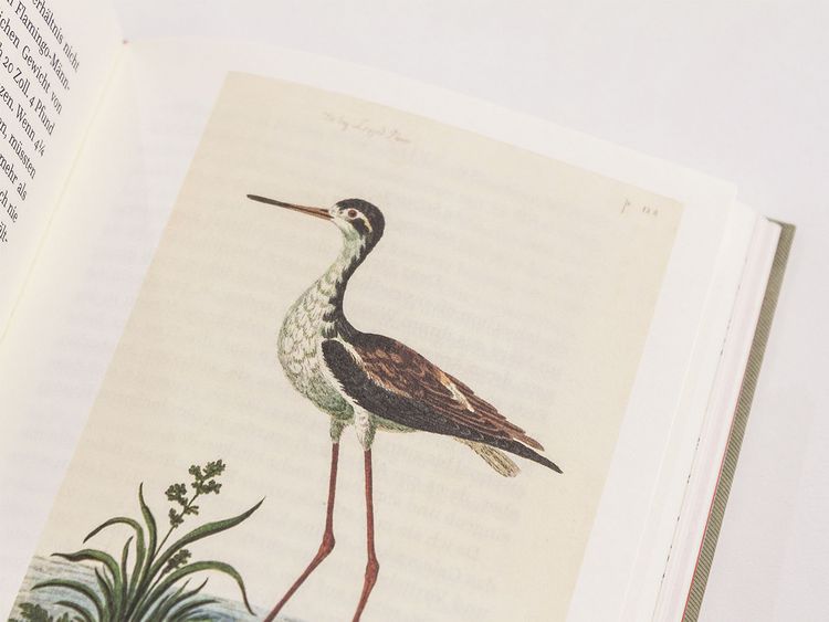 Produktbild: Die Erkundung von Selborne durch Reverend Gilbert White
