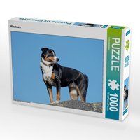 Produktbild: CALVENDO Puzzle Wachsam 1000 Teile Lege-Gr&ouml;&szlig;e 64 x 48 cm Foto-Puzzle Bild von SchnelleWelten