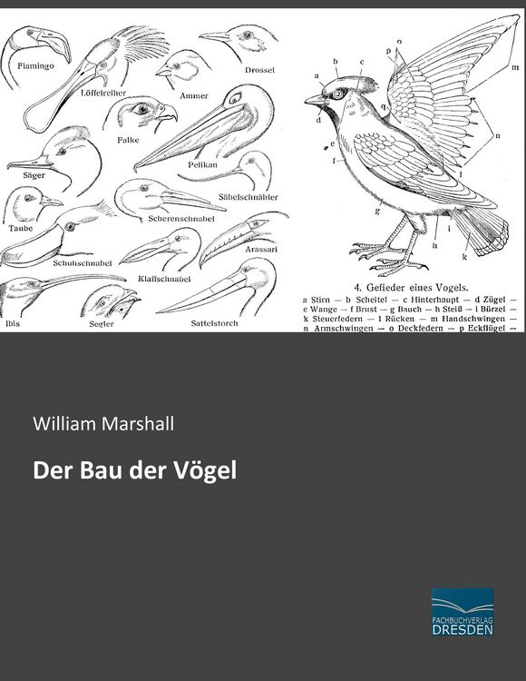 Produktbild: Der Bau der V&ouml;gel