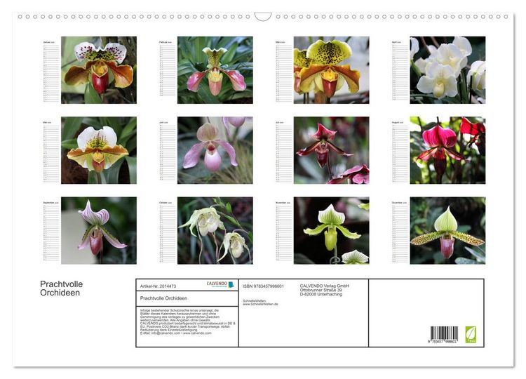 Produktbild: Prachtvolle Orchideen (Wandkalender 2026 DIN A2 quer), CALVENDO Monatskalender