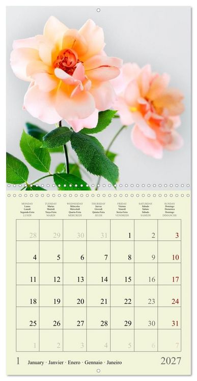 Produktbild: Petites fleurs color&eacute;es (Calendrier mural carr&eacute; 2027 30x30 cm) Calendrier double avec une page pour vos prises de notes