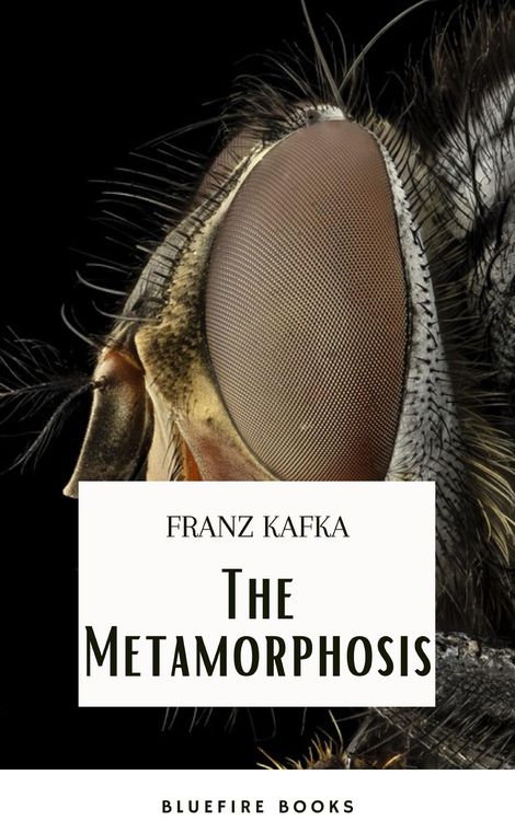 Produktbild: The Metamorphosis