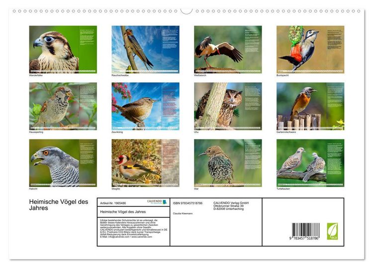 Produktbild: Heimische V&ouml;gel des Jahres (hochwertiger Premium Wandkalender 2026 DIN A2 quer), Kunstdruck in Hochglanz