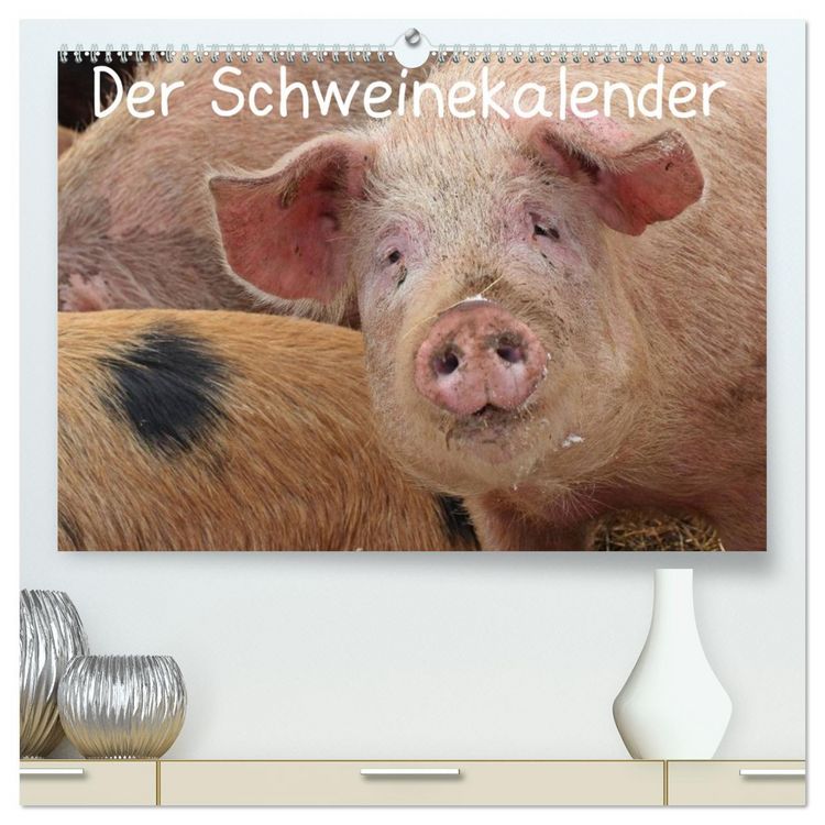 Produktbild: Der Schweinekalender (hochwertiger Premium Wandkalender 2026 DIN A2 quer), Kunstdruck in Hochglanz