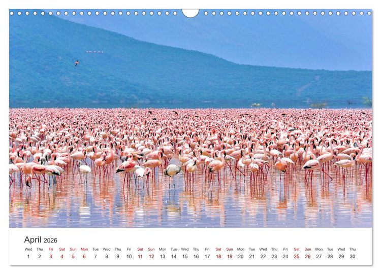 Produktbild: Kenya - a country like Africa (Wall Calendar 2026 DIN A3 landscape), CALVENDO 12 Month Wall Calendar