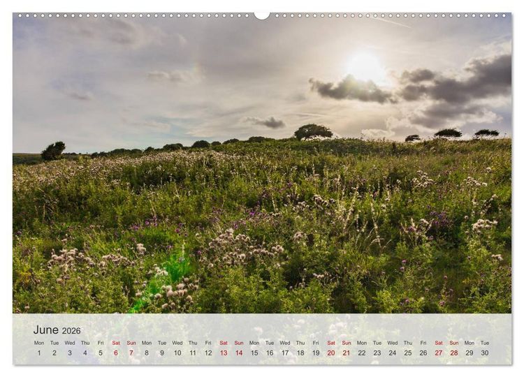 Produktbild: Eastbourne 2026 (High Quality Premium Wall Calendar 2026 DIN A2 landscape),CALVENDO 12 Month Wall Calendar