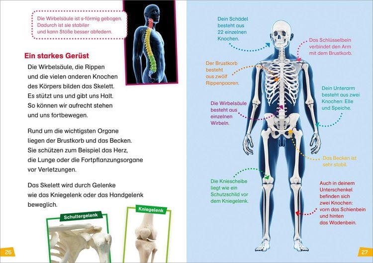 Produktbild: WAS IST WAS Erstes Lesen Band 14. Unser K&ouml;rper