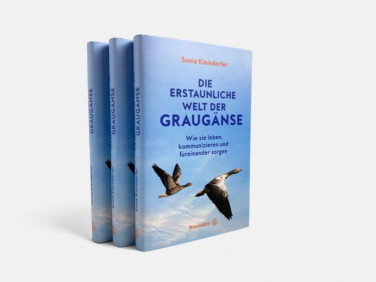 Produktbild: Die erstaunliche Welt der Graug&auml;nse