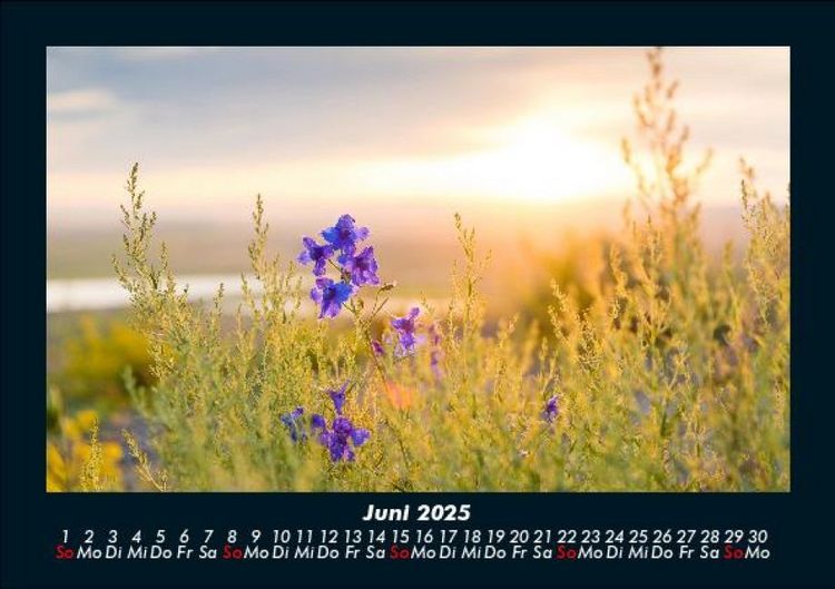 Produktbild: Pflanzen und Bl&uuml;ten 2025 Fotokalender DIN A5