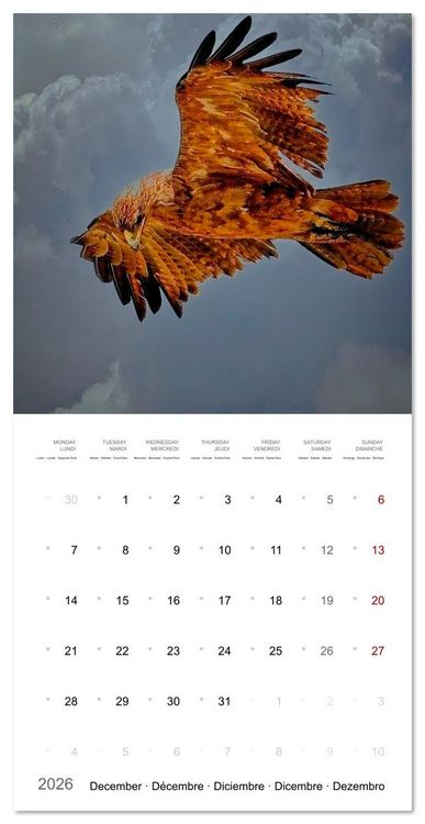 Produktbild: Eagles in Africa (Wall Calendar 2026 12 &times; 12 Inch) CALVENDO 12 Month Wall Calendar