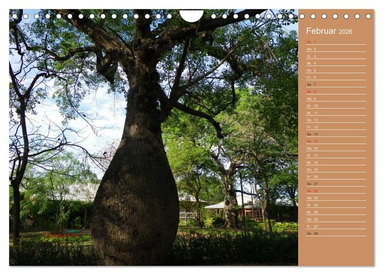 Produktbild: Bilder aus dem Chaco in Paraguay (Wandkalender 2026 DIN A4 quer), CALVENDO Monatskalender
