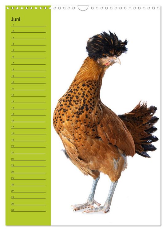 Produktbild: Kunterbunte H&uuml;hner Truppe (Wandkalender 2026 DIN A3 hoch), CALVENDO Monatskalender