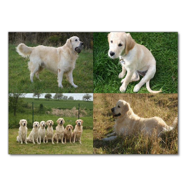 Produktbild: Lais Puzzle Collage Golden Retriever 1000 Teile
