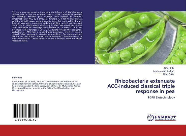 Produktbild: Rhizobacteria extenuate ACC-induced classical triple response in pea