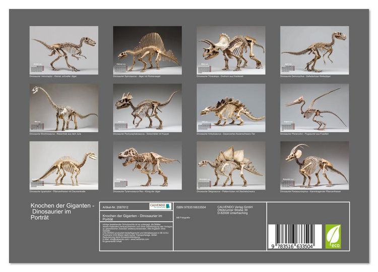 Produktbild: Knochen der Giganten - Dinosaurier im Portr&auml;t (Wandkalender 2026 DIN A4 quer), CALVENDO Monatskalender