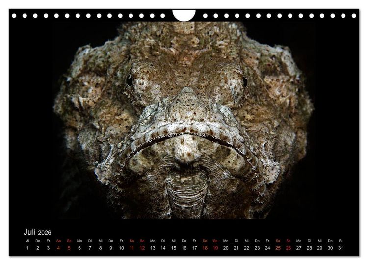 Produktbild: Ocean-Art / CH-Version (Wandkalender 2026 DIN A4 quer), CALVENDO Monatskalender