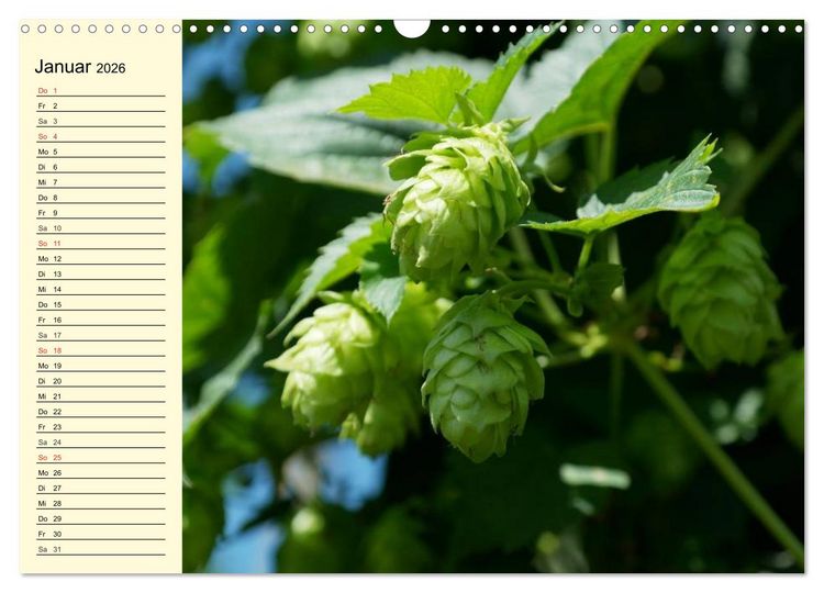 Produktbild: Bier. Die Kunst des Bierbrauens. Impressionen (Wandkalender 2026 DIN A3 quer), CALVENDO Monatskalender