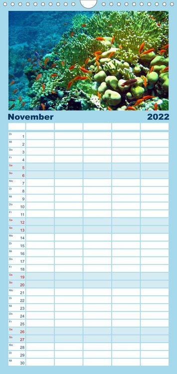 Produktbild: Riffleben - Einfach mal abtauchen - Familienplaner hoch (Wandkalender 2022 , 21 cm x 45 cm, hoch)