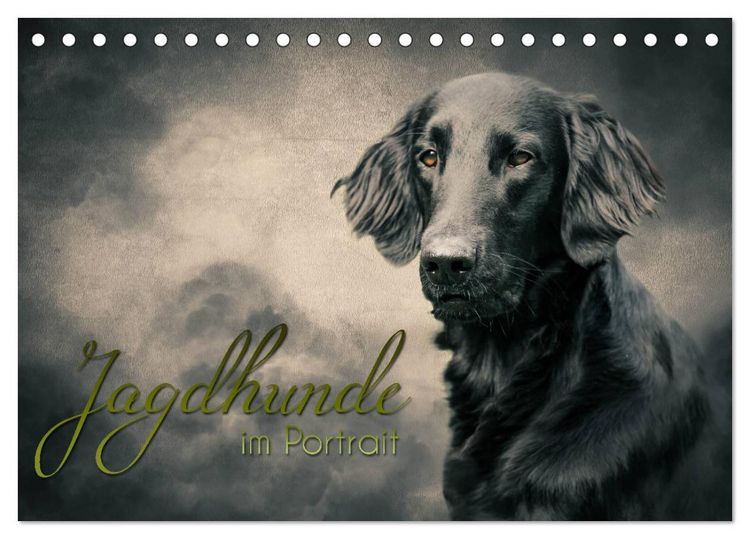 Produktbild: Jagdhunde im Portrait (Tischkalender 2026 DIN A5 quer), CALVENDO Monatskalender