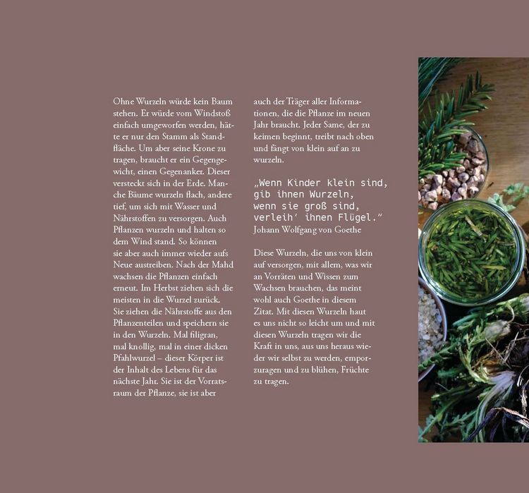Produktbild: Wildkr&auml;uter, Handarbeit & Brauchtum