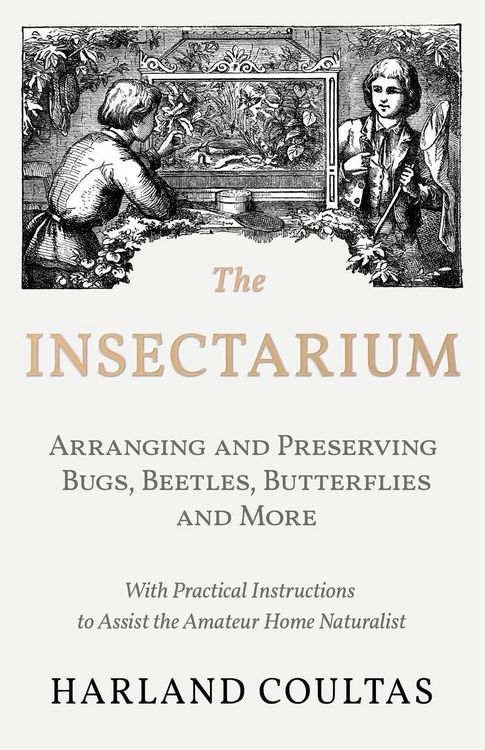 Produktbild: The Insectarium - Collecting, Arranging and Preserving Bugs, Beetles, Butterflies and More - With Practical Instructions to Assist the Amateur Home Naturalist