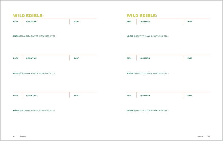 Produktbild: How to Forage for Wild Foods Without Dying Journal