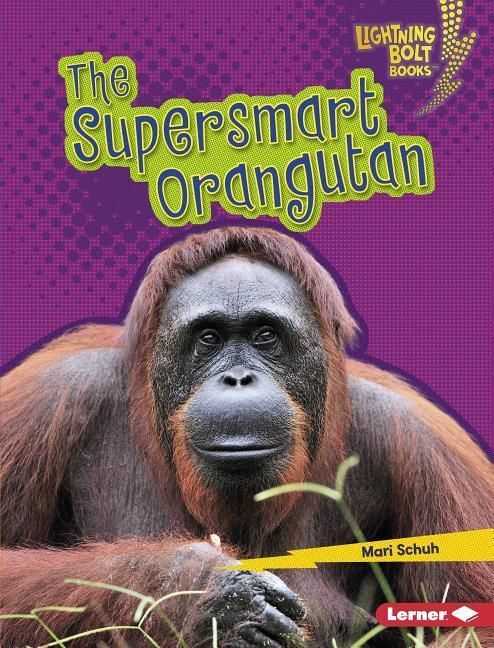 Produktbild: The Supersmart Orangutan