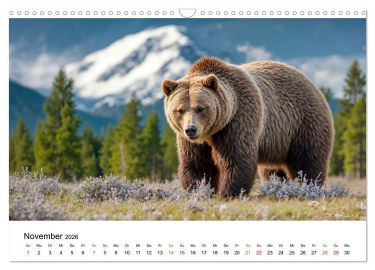 Produktbild: B&auml;ren - Die Macht der Natur (Wandkalender 2026 DIN A3 quer), CALVENDO Monatskalender