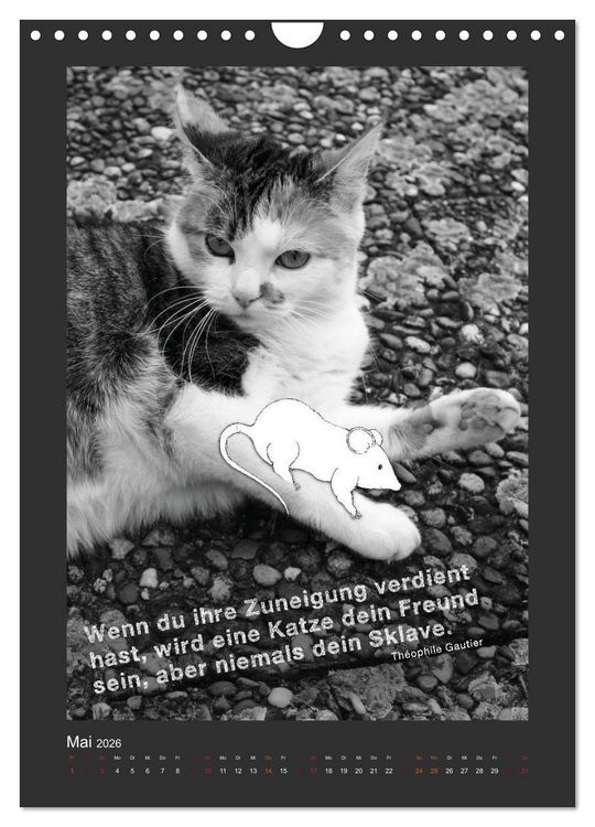 Produktbild: Katz & Maus (Wandkalender 2026 DIN A4 hoch), CALVENDO Monatskalender