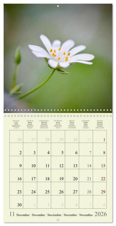 Produktbild: Fleurs du pays des r&ecirc;ves (Calendrier mural carr&eacute; 2026 30x30 cm) Calendrier double avec une page pour vos prises de notes