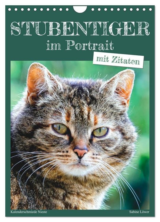 Produktbild: Stubentiger im Portrait (Wandkalender 2026 DIN A4 hoch), CALVENDO Monatskalender