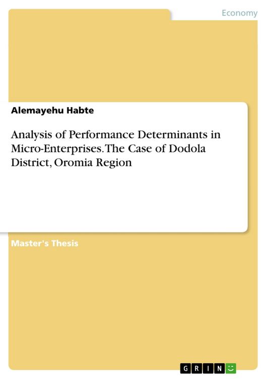 Produktbild: Analysis of Performance Determinants in Micro-Enterprises. The Case of Dodola District, Oromia Region