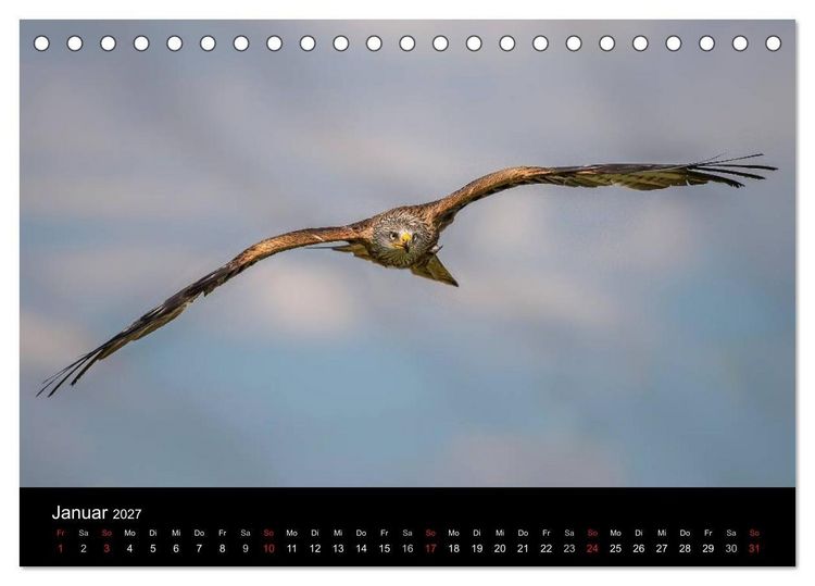Produktbild: Sch&ouml;nheiten der L&uuml;fte - Greifv&ouml;gel (Tischkalender 2027 DIN A5 quer), CALVENDO Monatskalender
