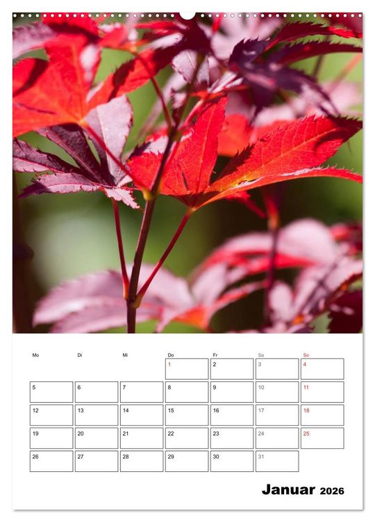 Produktbild: Farben der Natur (hochwertiger Premium Wandkalender 2026 DIN A2 hoch), Kunstdruck in Hochglanz