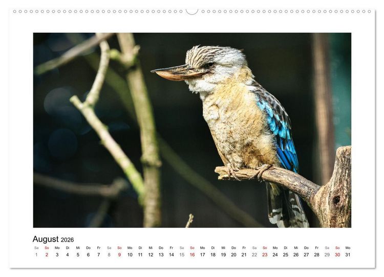 Produktbild: Zauberhaft und farbenfroh (hochwertiger Premium Wandkalender 2026 DIN A2 quer), Kunstdruck in Hochglanz